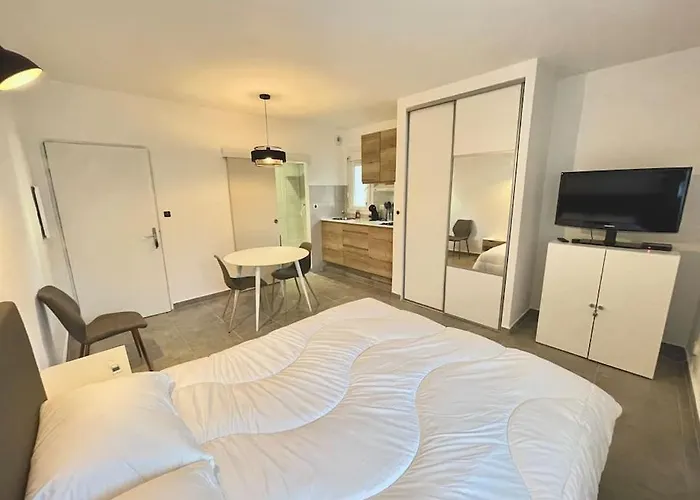 Apartment Hypercentre Parking Gratuit Ajaccio (Corsica)
